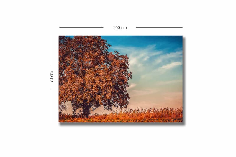 Canvastavla 70x100 cm - Stor, orange trädkrona i höstfärger mot en klarblå himmel - Orange / Blå / Beige - Inredning & dekor - Tavlor & konst - Canvastavla