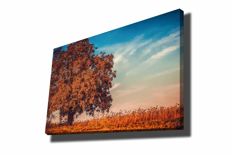 Canvastavla 70x100 cm - Stor, orange trädkrona i höstfärger mot en klarblå himmel - Orange / Blå / Beige - Inredning & dekor - Tavlor & konst - Canvastavla