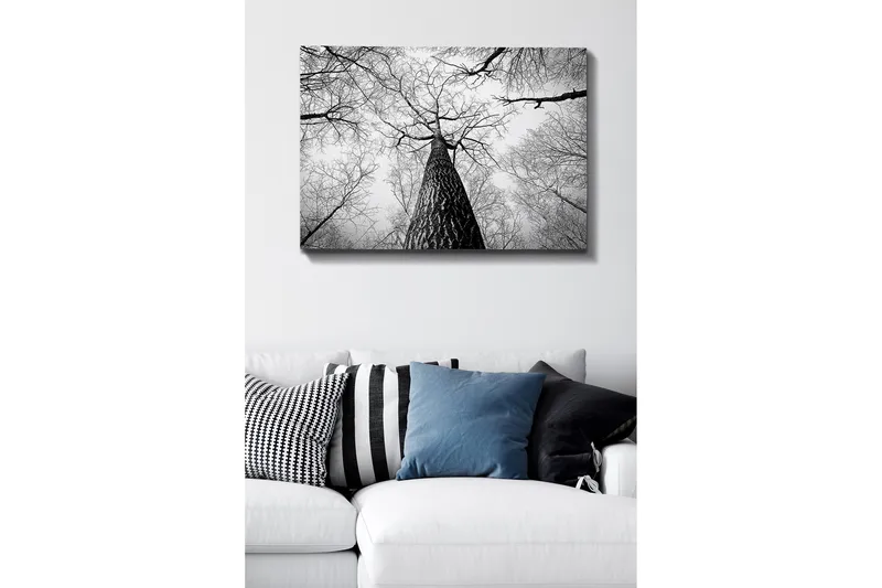 Canvastavla 70x100 cm - Svartvit bild av ett träd som sträcker sig upp mot en ljus himmel, sedd från marken, Svart / Vitt / Grått