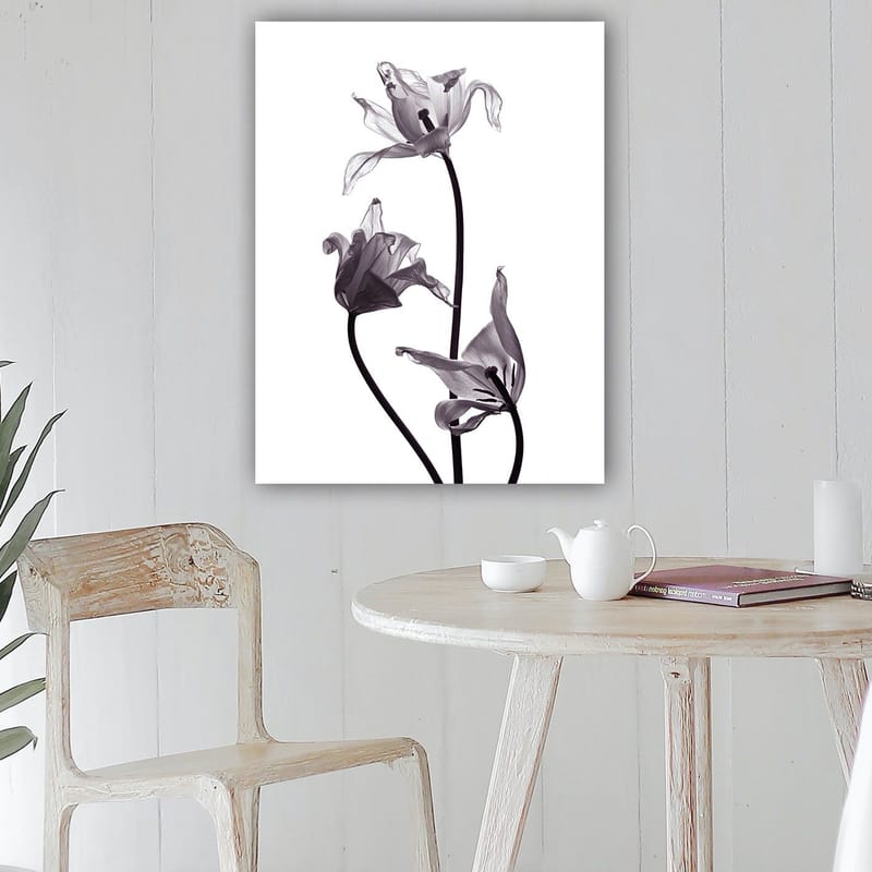 Canvastavla 70x100 cm - Svartvita tulpaner med eleganta former som sträcker sig mot toppen - Svart / Grå - Inredning & dekor - Tavlor & konst - Canvastavla