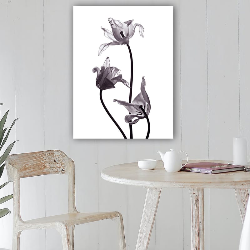 Canvastavla 70x100 cm - Svartvita tulpaner med eleganta former som sträcker sig mot toppen - Svart / Grå - Inredning & dekor - Tavlor & konst - Canvastavla