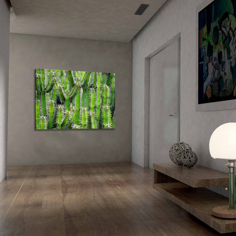 Canvastavla 70x100 cm - Tät samling av kaktusar med långa, smala stammar och taggar - Grön / Ljusgrön - Inredning & dekor - Tavlor & konst - Canvastavla