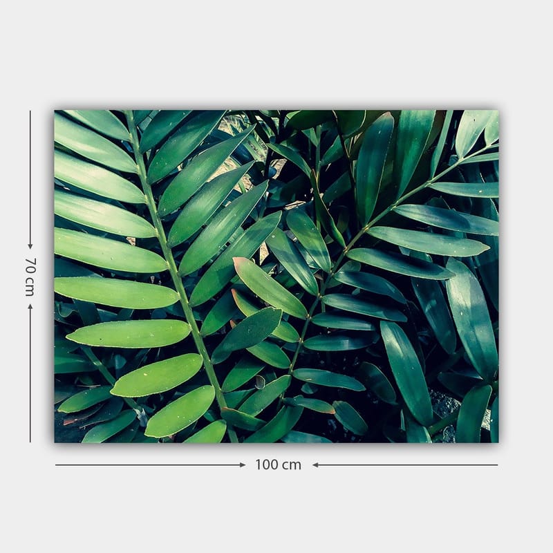 Canvastavla 70x100 cm - Tätt sammanvävda gröna växtblad som skapar en frodig och livfull känsla - Mörkgrön / Ljusgrön - Inredning & dekor - Tavlor & konst - Canvastavla