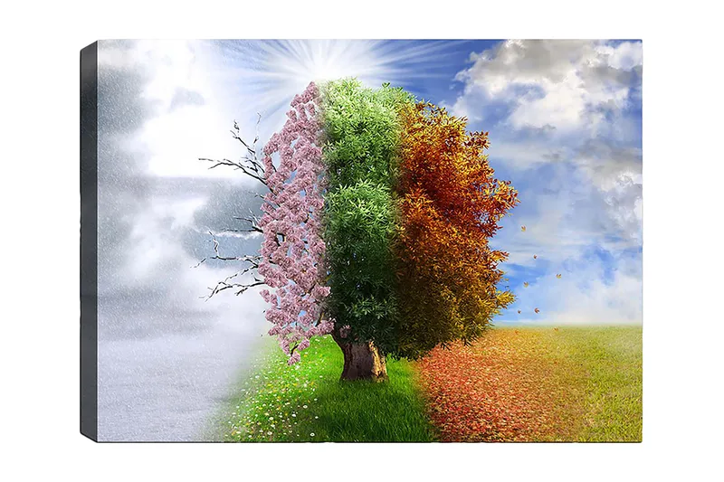 Canvastavla 70x100 cm - Trädkonstruktion som representerar de fyra årstiderna, från vinter till vår, som övergår till sommar och höst, Rosa / Grön / Orange