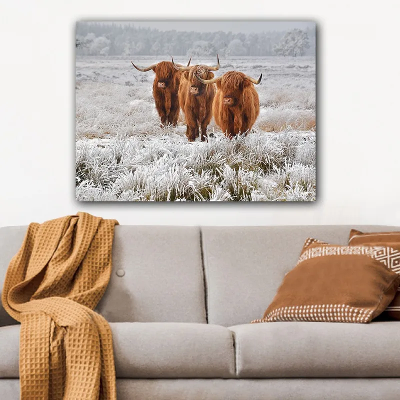 Canvastavla 70x100 cm - Tre höglandsko i en frostig landskapsscen, Orange / Vit / Grå