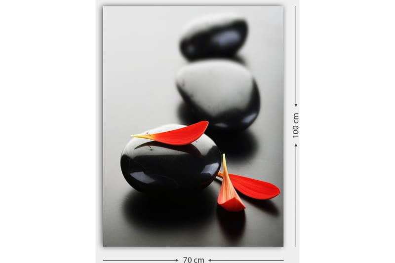 Canvastavla 70x100 cm - Tre svarta stenar med röda blomblad som skapar en harmonisk och avkopplande komposition - Svart / Röd - Inredning & dekor - Tavlor & konst - Canvastavla