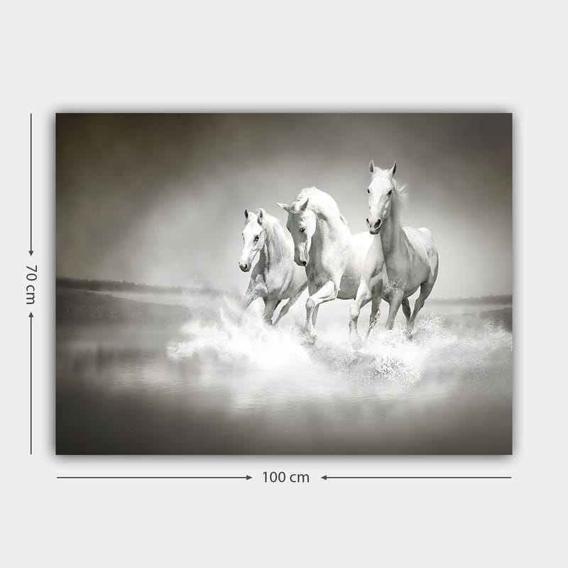 Canvastavla 70x100 cm - Tre vita hästar som galopperar genom vatten - Vit / Grå - Inredning & dekor - Tavlor & konst - Canvastavla