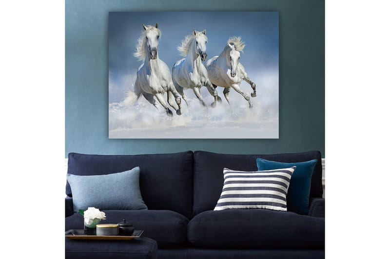 Canvastavla 70x100 cm - Tre vita hästar som galopperar genom vattnet - Vit / Ljusblå - Inredning & dekor - Tavlor & konst - Canvastavla