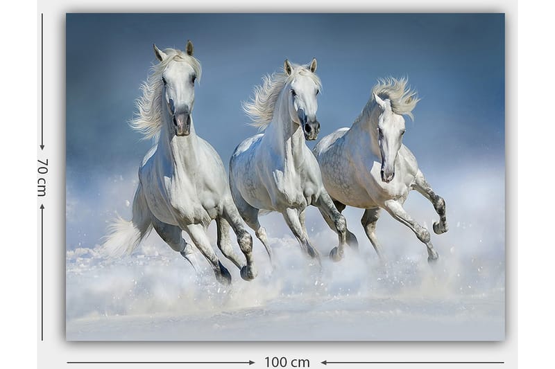 Canvastavla 70x100 cm - Tre vita hästar som galopperar genom vattnet - Vit / Ljusblå - Inredning & dekor - Tavlor & konst - Canvastavla