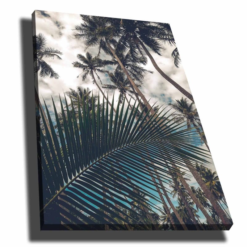 Canvastavla 70x100 cm - Tropisk palmlund med en stor palmblad i förgrunden - Mörkgrön / Ljusgrön / Blå - Inredning & dekor - Tavlor & konst - Canvastavla