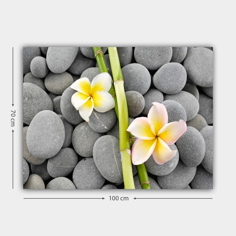 Canvastavla 70x100 cm - Två blommor i pastellfärger som ligger på en samling grå stenar - Grå / Gul / Rosa - Inredning & dekor - Tavlor & konst - Canvastavla