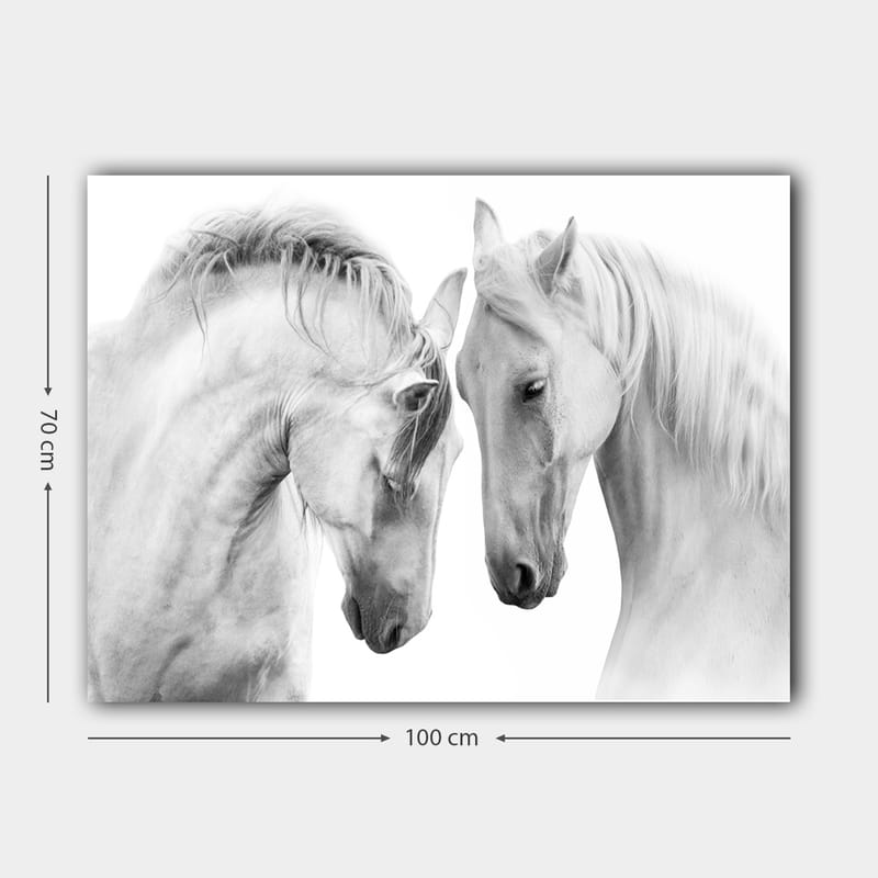 Canvastavla 70x100 cm - Två eleganta hästar som står nära varandra och visar en känsla av samhörighet - Vit / Grå - Inredning & dekor - Tavlor & konst - Canvastavla