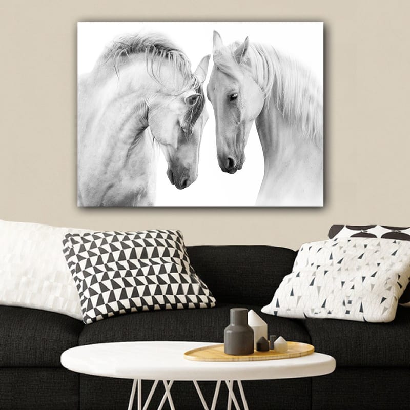 Canvastavla 70x100 cm - Två eleganta hästar som står nära varandra och visar en känsla av samhörighet - Vit / Grå - Inredning & dekor - Tavlor & konst - Canvastavla