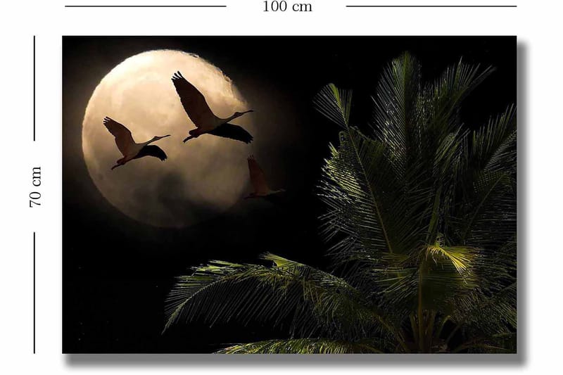 Canvastavla 70x100 cm - Två fåglar som flyger mot en stor måne över en palmliknande växt - Mörkgrön / Grå / Beige - Inredning & dekor - Tavlor & konst - Canvastavla