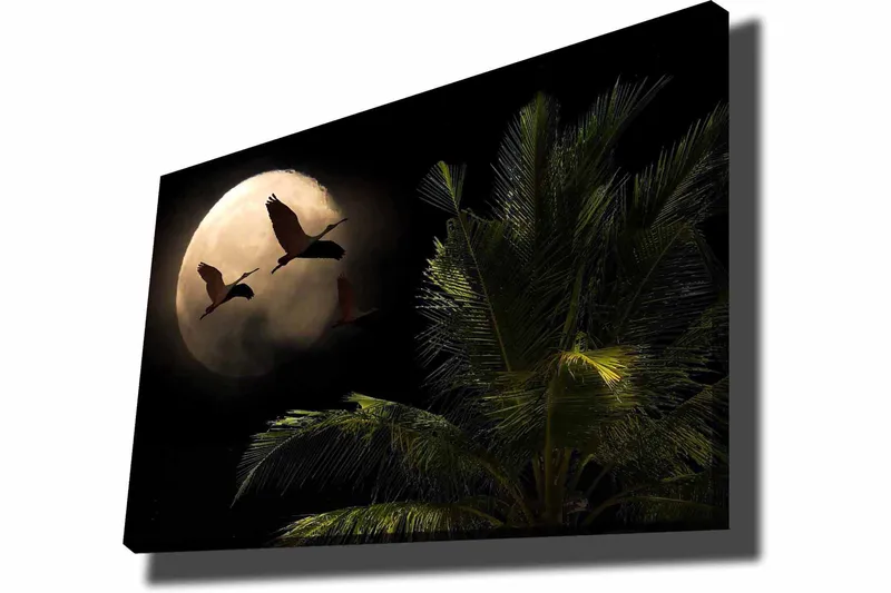 Canvastavla 70x100 cm - Två fåglar som flyger mot en stor måne över en palmliknande växt - Mörkgrön / Grå / Beige - Inredning & dekor - Tavlor & konst - Canvastavla