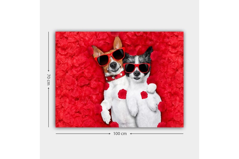 Canvastavla 70x100 cm - Två hundar som ligger tillsammans på en röd blomsterbakgrund, iförda solglasögon - Röd / Vit / Svart - Inredning & dekor - Tavlor & konst - Canvastavla