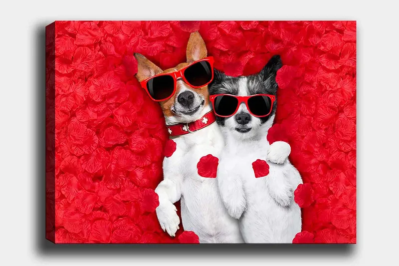 Canvastavla 70x100 cm - Två hundar som ligger tillsammans på en röd blomsterbakgrund, iförda solglasögon, Röd / Vit / Svart