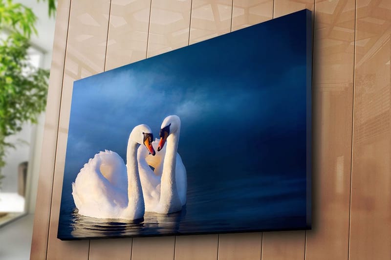 Canvastavla 70x100 cm - Två svanar som formar ett hjärta med sina halsar i en romantisk och lugn atmosfär - Vit / Mörkblå - Inredning & dekor - Tavlor & konst - Canvastavla