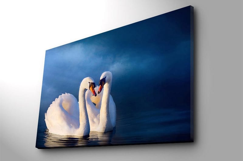 Canvastavla 70x100 cm - Två svanar som formar ett hjärta med sina halsar i en romantisk och lugn atmosfär - Vit / Mörkblå - Inredning & dekor - Tavlor & konst - Canvastavla