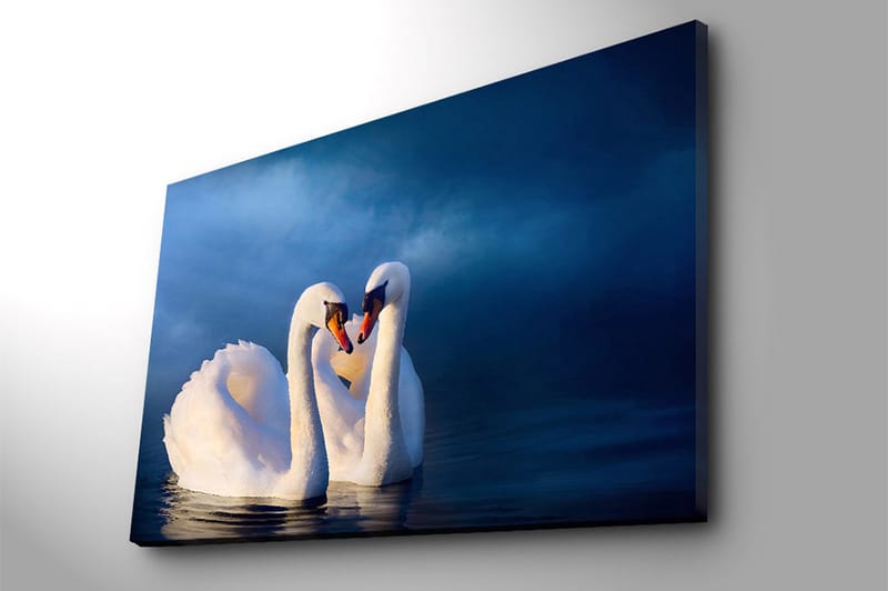 Canvastavla 70x100 cm - Två svanar som formar ett hjärta med sina halsar i en romantisk och lugn atmosfär - Vit / Mörkblå - Inredning & dekor - Tavlor & konst - Canvastavla