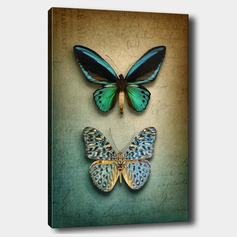 Canvastavla 70x100 cm - Två vackra fjärilar i en harmonisk komposition - Turkos / Grön / Blå - Inredning & dekor - Tavlor & konst - Canvastavla