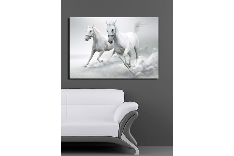 Canvastavla 70x100 cm - Två vita hästar som galopperar framåt i en dynamisk rörelse - Vit / Grå - Inredning & dekor - Tavlor & konst - Canvastavla