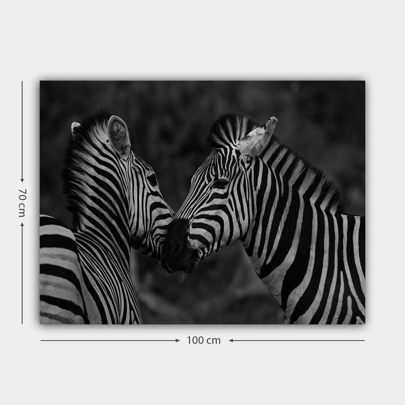 Canvastavla 70x100 cm - Två zebror som står nära varandra och visar sin samhörighet - Svart / Vitt - Inredning & dekor - Tavlor & konst - Canvastavla