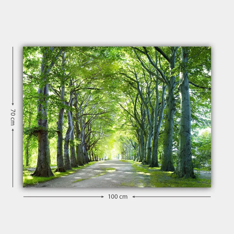 Canvastavla 70x100 cm - Vacker allé av träd som skapar en lugn och inbjudande väg - Grön / Ljusgrön / Brun - Inredning & dekor - Tavlor & konst - Canvastavla