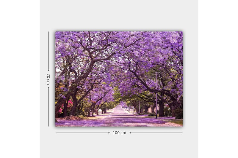 Canvastavla 70x100 cm - Vacker allé med lila blommande träd som skapar en drömlik atmosfär - Lila / Grön - Inredning & dekor - Tavlor & konst - Canvastavla