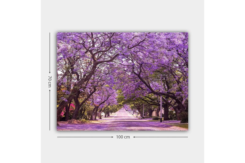 Canvastavla 70x100 cm - Vacker allé med lila blommande träd som skapar en drömlik atmosfär - Lila / Grön - Inredning & dekor - Tavlor & konst - Canvastavla