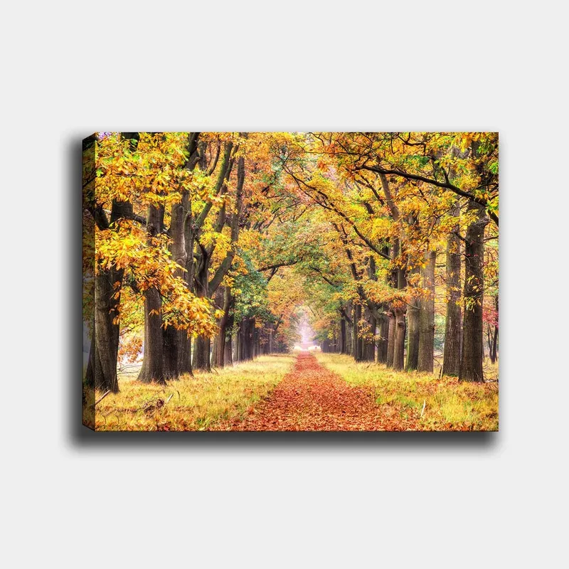 Canvastavla 70x100 cm - Vacker allé omgiven av höstfärgade träd som leder mot en ljusare horisont - Guldorange / Grön / Brun - Inredning & dekor - Tavlor & konst - Canvastavla
