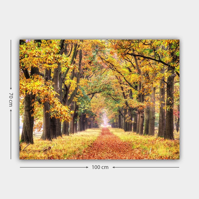Canvastavla 70x100 cm - Vacker allé omgiven av höstfärgade träd som leder mot en ljusare horisont - Guldorange / Grön / Brun - Inredning & dekor - Tavlor & konst - Canvastavla