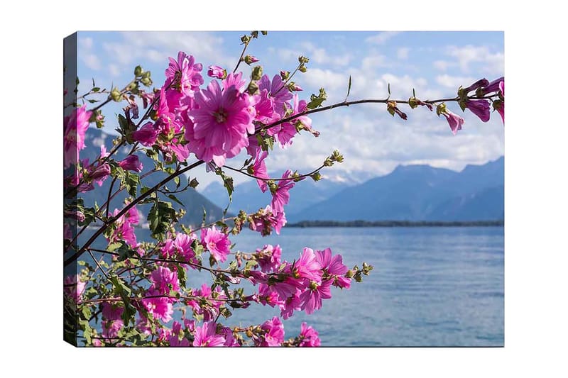 Canvastavla 70x100 cm - Vacker blomstergrupp som sträcker sig över en sjö med berg i bakgrunden, Rosa / Grön