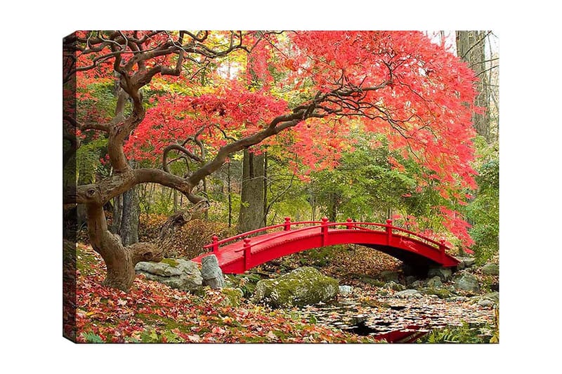 Canvastavla 70x100 cm - Vacker bro i röd färg omgiven av höstfärgade träd och löv - Röd / Grön / Brun - Inredning & dekor - Tavlor & konst - Canvastavla