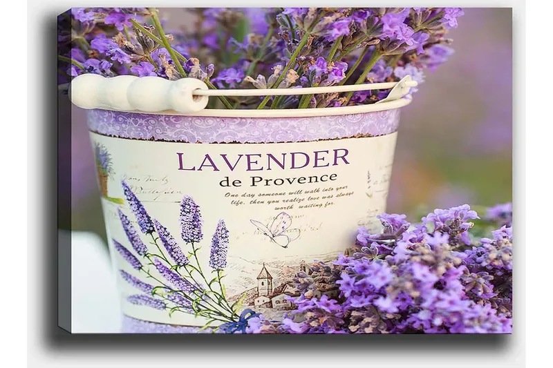 Canvastavla 70x100 cm - Vacker bukett av lavendel i en dekorativ hink - Lila / Vit - Inredning & dekor - Tavlor & konst - Canvastavla
