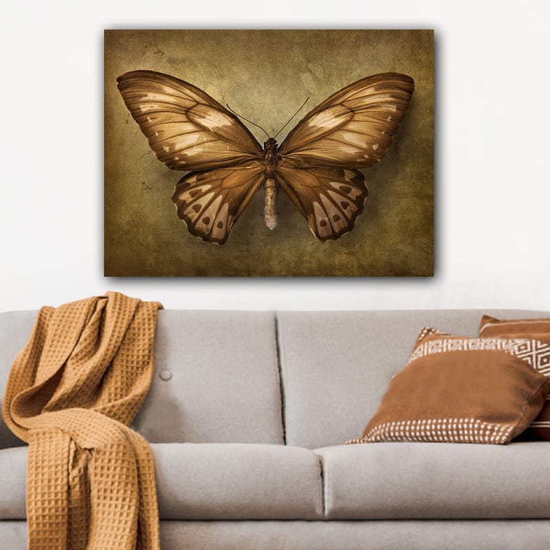 Canvastavla 70x100 cm - Vacker fjäril med detaljerade vingar i bruna och beige nyanser - Brun / Beige - Inredning & dekor - Tavlor & konst - Canvastavla