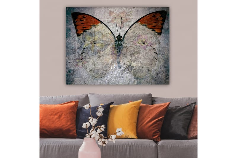Canvastavla 70x100 cm - Vacker fjäril med orange och vita vingar som framhäver naturens skönhet - Orange / Vit / Grå - Inredning & dekor - Tavlor & konst - Canvastavla