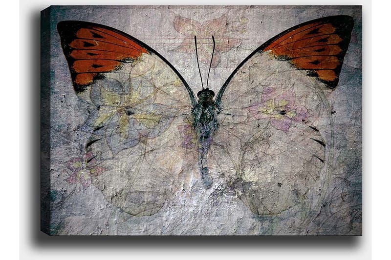 Canvastavla 70x100 cm - Vacker fjäril med orange och vita vingar som framhäver naturens skönhet - Orange / Vit / Grå - Inredning & dekor - Tavlor & konst - Canvastavla