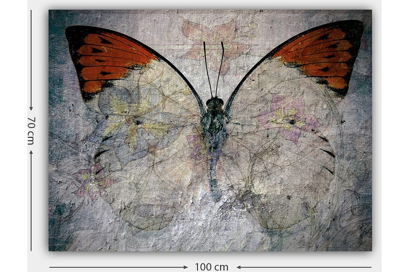 Canvastavla 70x100 cm - Vacker fjäril med orange och vita vingar som framhäver naturens skönhet - Orange / Vit / Grå - Inredning & dekor - Tavlor & konst - Canvastavla