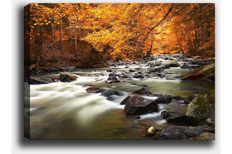 Canvastavla 70x100 cm - Vacker höstlandskap med en porlande bäck omgiven av gyllene och orange lövverk - Gyllene / Orange / Grön - Inredning & dekor - Tavlor & konst - Canvastavla