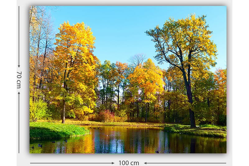 Canvastavla 70x100 cm - Vacker höstlandskap med färgglada träd och en spegelblanka sjö - Guldgul / Grön / Blå - Inredning & dekor - Tavlor & konst - Canvastavla