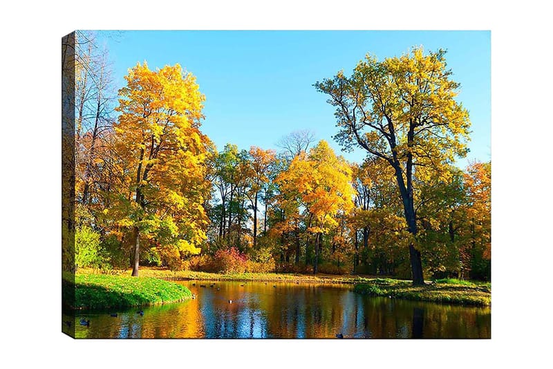 Canvastavla 70x100 cm - Vacker höstlandskap med färgglada träd och en spegelblanka sjö - Guldgul / Grön / Blå - Inredning & dekor - Tavlor & konst - Canvastavla