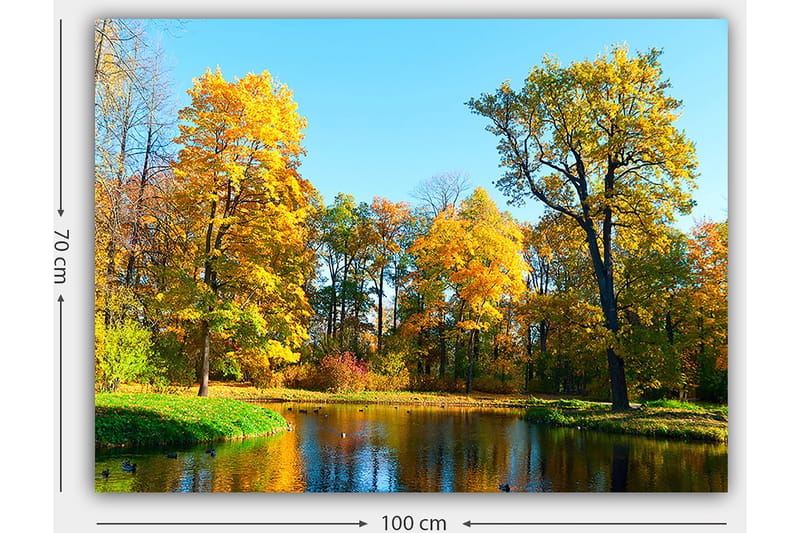 Canvastavla 70x100 cm - Vacker höstlandskap med färgglada träd och en spegelblanka sjö - Guldgul / Grön / Blå - Inredning & dekor - Tavlor & konst - Canvastavla