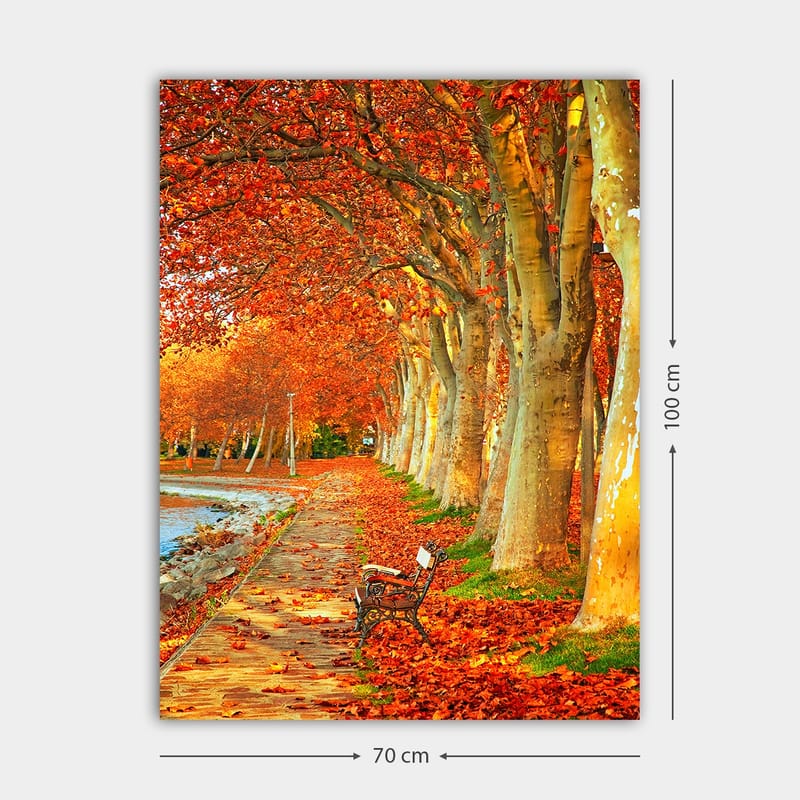 Canvastavla 70x100 cm - Vacker höstscen med en bänk längs en allé av träd med sprakande röda och orange löv - Röd / Orange / Gul - Inredning & dekor - Tavlor & konst - Canvastavla