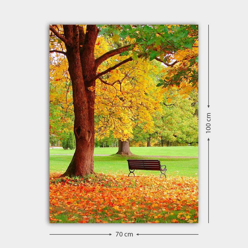 Canvastavla 70x100 cm - Vacker höstscen med en bänk under ett färgsprakande träd - Guldgul / Orange / Brun - Inredning & dekor - Tavlor & konst - Canvastavla