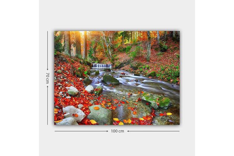 Canvastavla 70x100 cm - Vacker höstscen med en porlande bäck omgiven av färgglada höstlöv - Röd / Grön / Brun - Inredning & dekor - Tavlor & konst - Canvastavla