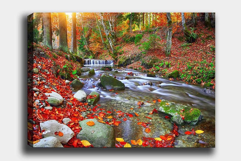 Canvastavla 70x100 cm - Vacker höstscen med en porlande bäck omgiven av färgglada höstlöv, Röd / Grön / Brun