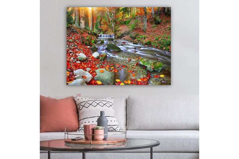 Canvastavla 70x100 cm - Vacker höstscen med en porlande bäck omgiven av färgglada höstlöv - Röd / Grön / Brun - Inredning & dekor - Tavlor & konst - Canvastavla