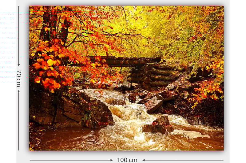 Canvastavla 70x100 cm - Vacker höstscen med en porlande bäck omgiven av färgglada träd och löv i varma nyanser - Orange / Gult / Brunt - Inredning & dekor - Tavlor & konst - Canvastavla