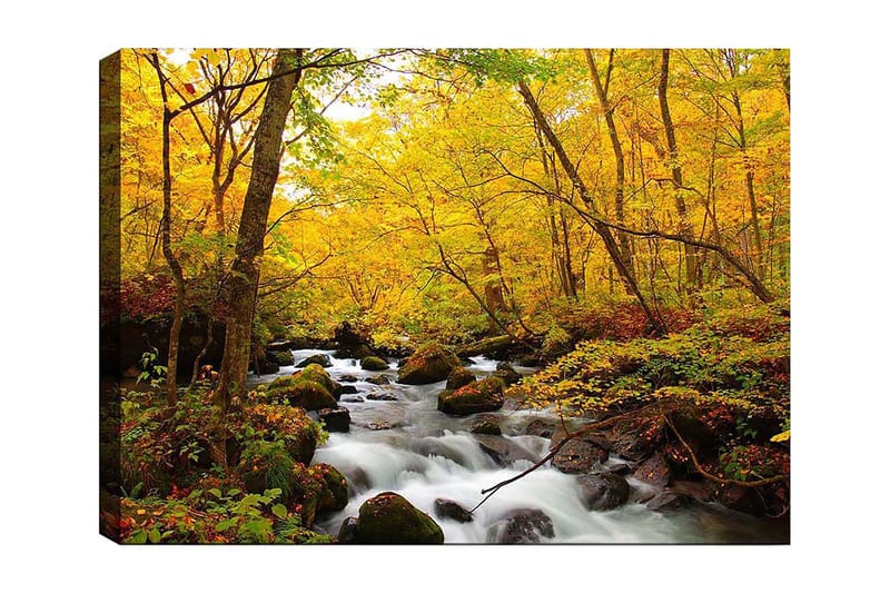 Canvastavla 70x100 cm - Vacker höstscen med ett porlande vattendrag omgiven av gyllene och röda träd - Guldgul / Mörkgrön / Röd - Inredning & dekor - Tavlor & konst - Canvastavla